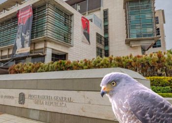 Ministerio Público solicita condenas de hasta 10 años contra imputados en la Operación Gavilán