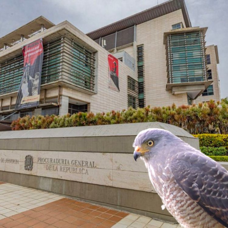 Ministerio Público solicita condenas de hasta 10 años contra imputados en la Operación Gavilán