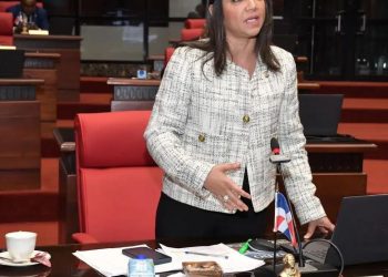 Faride Raful arremete contra partidos por postular personas acusadas de violación sexual
