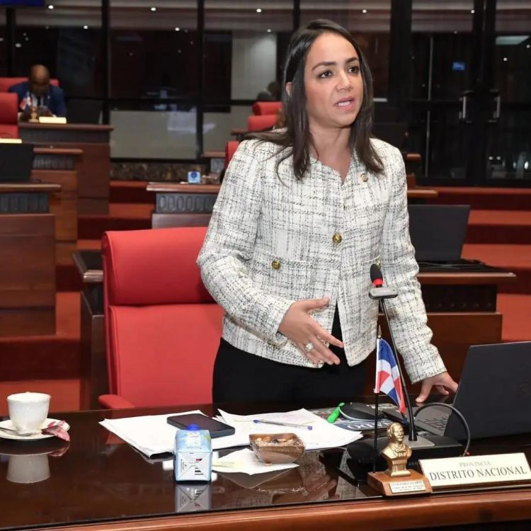 Faride Raful arremete contra partidos por postular personas acusadas de violación sexual