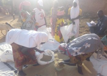 Cruz Roja solicita 245 millones de dólares para abordar crisis alimentaria en África subsahariana