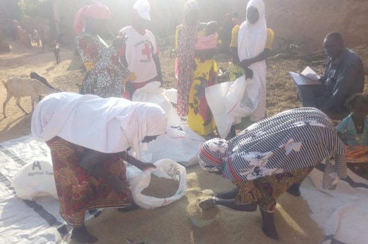 Cruz Roja solicita 245 millones de dólares para abordar crisis alimentaria en África subsahariana