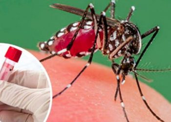 Salud Pública ratifica alerta epidemiológica ante aumento de casos de dengue