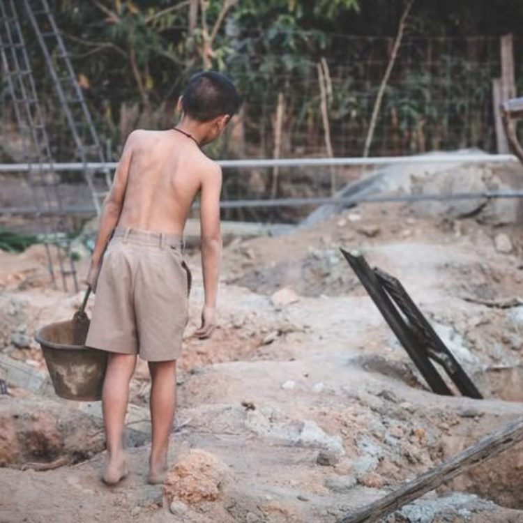 Rescatan más de 500 personas sometidas a trabajo esclavo en Brasil