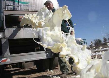 Productor derrama 3,200 litros de leche en protesta por corte de energía eléctrica en Paraguay