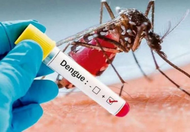 La OMS aprueba una nueva vacuna contra el dengue