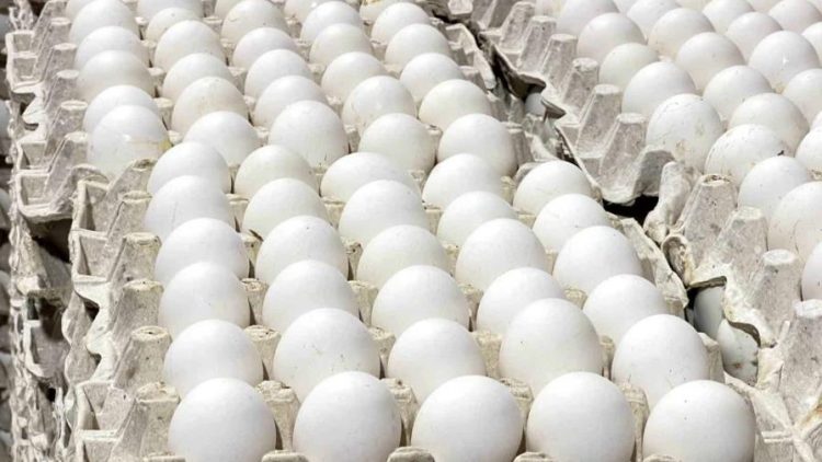 Inespre anuncia venta de cartón de huevos producidos en Dajabón a 100 pesos