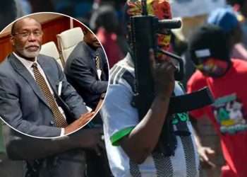 Secuestran al secretario general del Alto Consejo de Transición de Haití