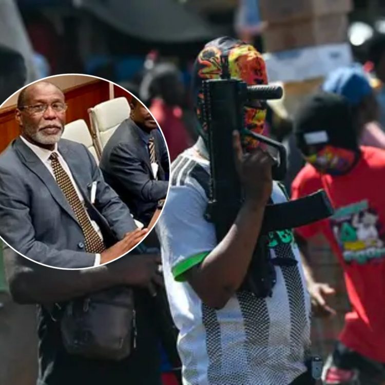 Secuestran al secretario general del Alto Consejo de Transición de Haití