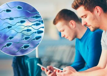 Científicos suizos determinan que el uso del celular disminuye la calidad del semen en los hombres