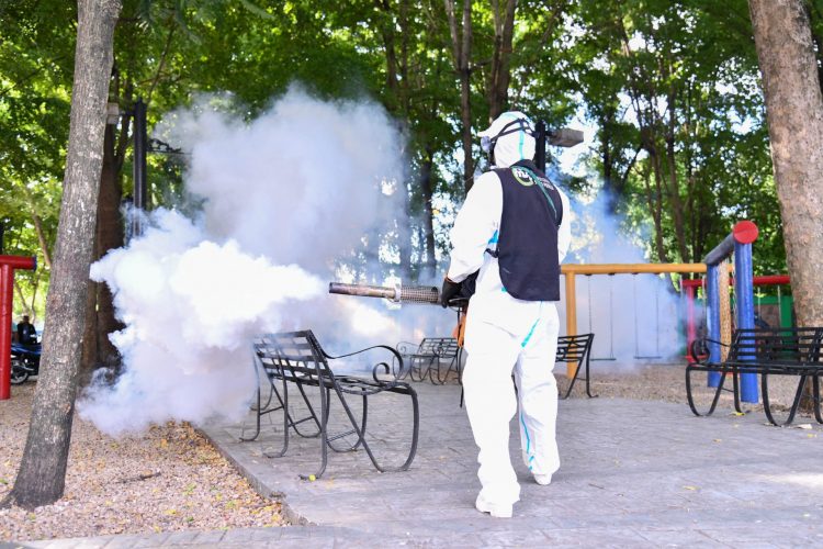 Ministerio de Salud Pública continúa intervención contra el dengue