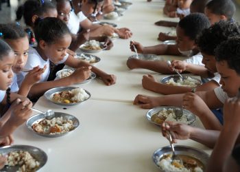 Inabie eleva consumo de carne de pollo a más de 1.5 millones de libras ante cierre fronterizo