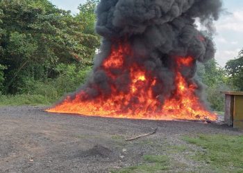 Procuraduría quema más de 1,346 kilogramos de drogas