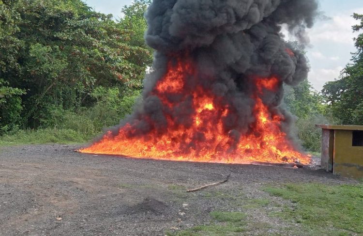 Procuraduría quema más de 1,346 kilogramos de drogas