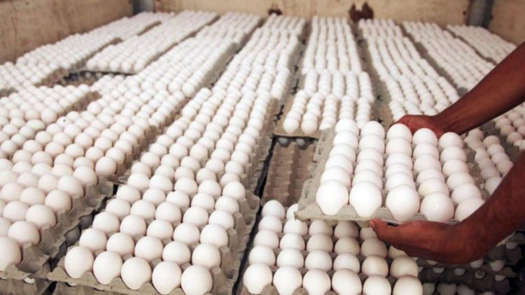 República Dominicana produce unos 350 millones de huevos al mes