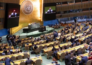 Asamblea General de la ONU aprueba la participación de Palestina por videoconferencia