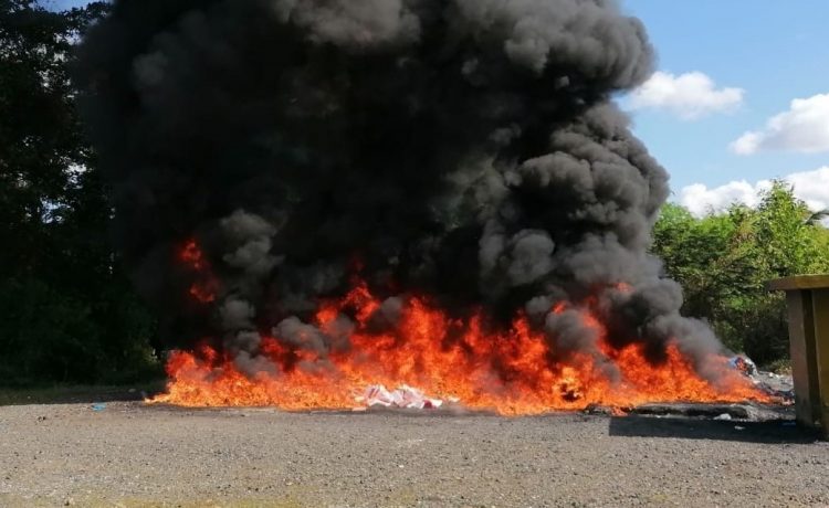 Procuraduría informa fueron incinerados 200 kilogramos de distintas drogas