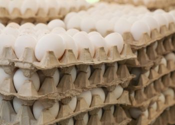 Disponen venta de cartones de huevos a RD$100 este jueves en 76 supermercados