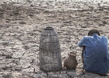 Uno de cada cuatro niños en el mundo sufre pobreza alimentaria grave, según UNICEF
