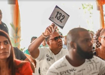 Bienes Nacionales subastará vehículos, chatarras y mobiliarios este jueves