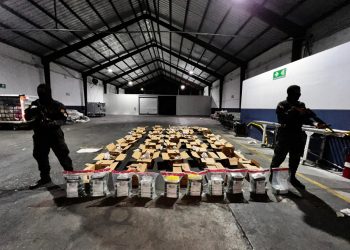 Ocupan 56 paquetes de presunta cocaína en una carga de cocos