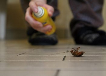 Hombre provoca incendio en su casa mientras intentaba matar una cucaracha