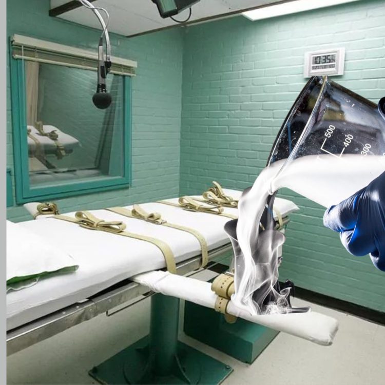 Jefe de derechos humanos de la ONU condena ejecución con gas nitrógeno en EE.UU.