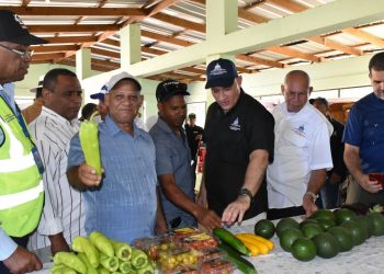 Supervisan obras que beneficiarán a más de 1,300 agricultores de Independencia