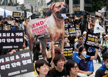 Corea del Sur aprueba ley que prohíbe el consumo humano de carne de perro