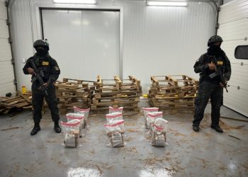 Ocupan 225 paquetes de cocaína camuflados en paletas de madera en Puerto Caucedo