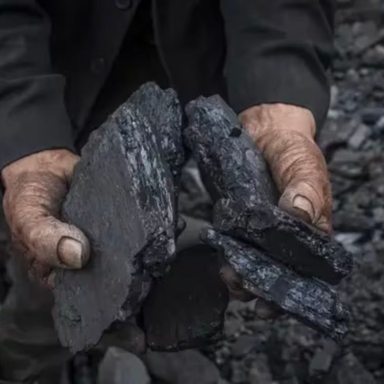 Encuentran "oro negro" en el Amazonas