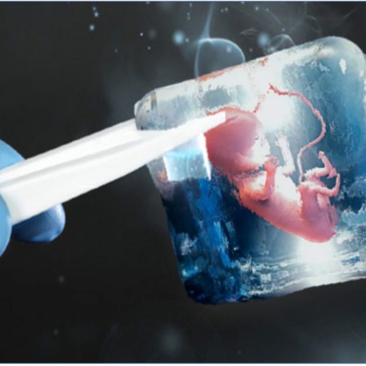 Corte Suprema de Alabama dictamina que los embriones congelados son niños