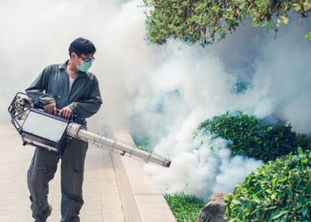 Perú declara estado de emergencia en 20 regiones por dengue