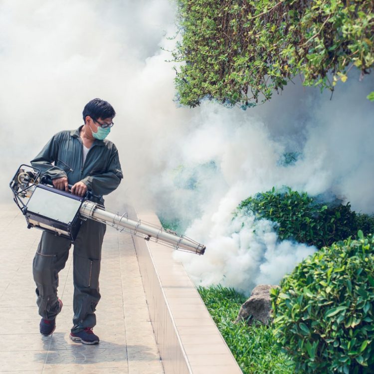 Perú declara estado de emergencia en 20 regiones por dengue