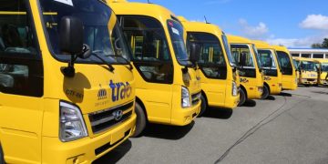 Desvinculan a 12 choferes del transporte escolar tras dar positivo en pruebas de drogas