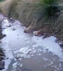 Frente frio en el país deja congelado un arroyo en el Pico Duarte