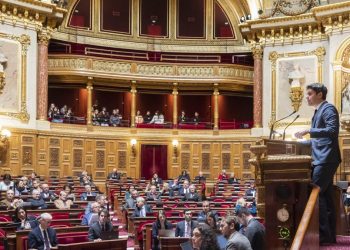 El Senado francés aprueba la inclusión del aborto en la Constitución