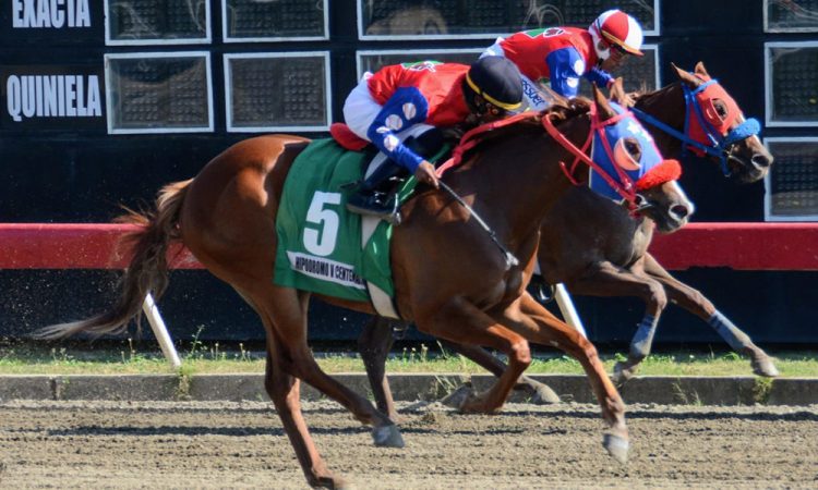 Jinetes del Establo Hermanos Lara se destacó en el Quinto Centenario