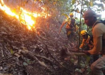 Bomberos forestales controlan incendios en las lomas de San Juan y Monseñor Nouel