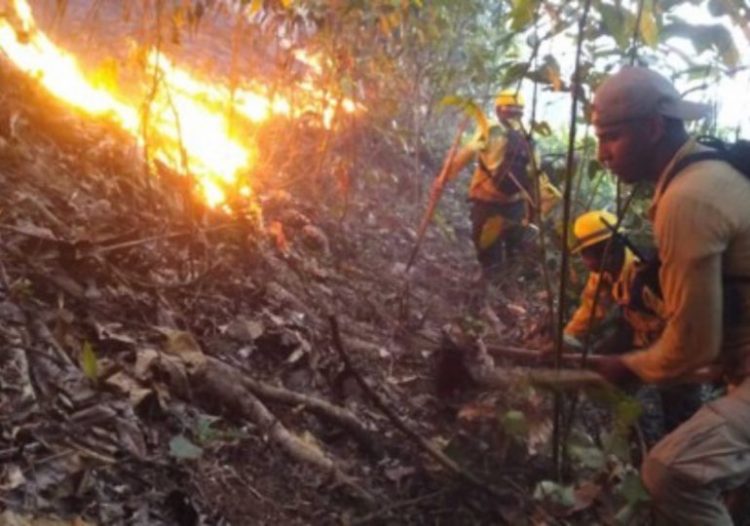Bomberos forestales controlan incendios en las lomas de San Juan y Monseñor Nouel