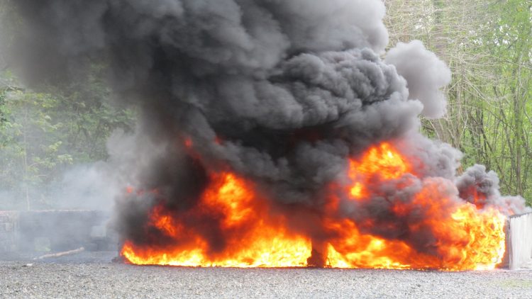 Autoridades incineran más de dos toneladas de distintas drogas