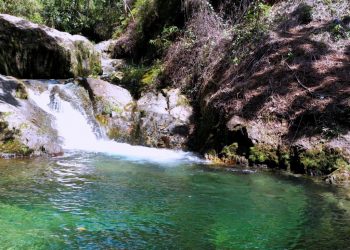Medio Ambiente insta a la población a no dañar recursos naturales en Semana Santa