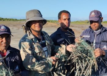 Retiran más de 1,000 trampas para aves en Montecristi