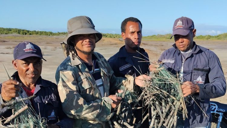 Retiran más de 1,000 trampas para aves en Montecristi