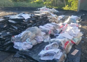 Incineran 167 kilogramos de drogas incautadas en recientes operativos