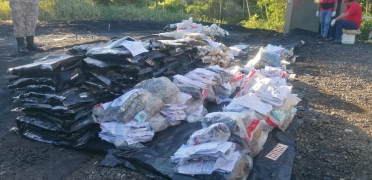 Incineran 167 kilogramos de drogas incautadas en recientes operativos