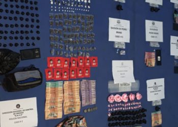 DNCD informa sacó más de 704 mil gramos de drogas de las calles en operativos