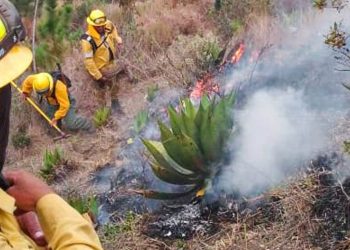 Medio Ambiente informa incendio en Parque Nacional José del Carmen Ramírez está controlado