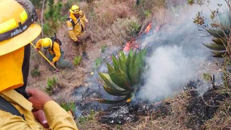 Medio Ambiente informa incendio en Parque Nacional José del Carmen Ramírez está controlado