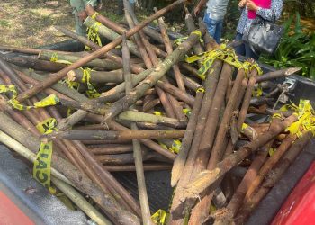 Medio Ambiente investiga la deforestación causada por la alcaldía de SFM en el Paisaje Ecológico Riberas del Jaya